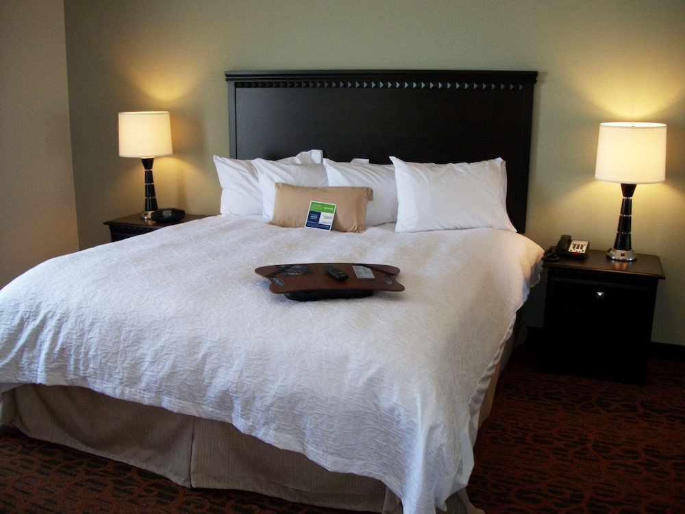 Hampton Inn Pecos - photo 9