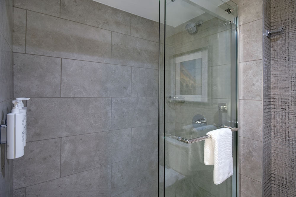 Embassy Suites by Hilton Detroit Metro Airport - photo 22