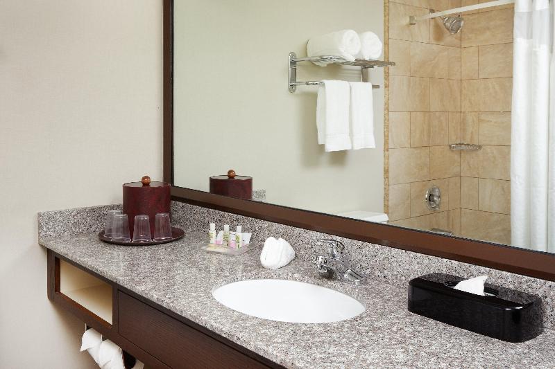 Holiday Inn Chicago Matteson Conference Center - photo 23