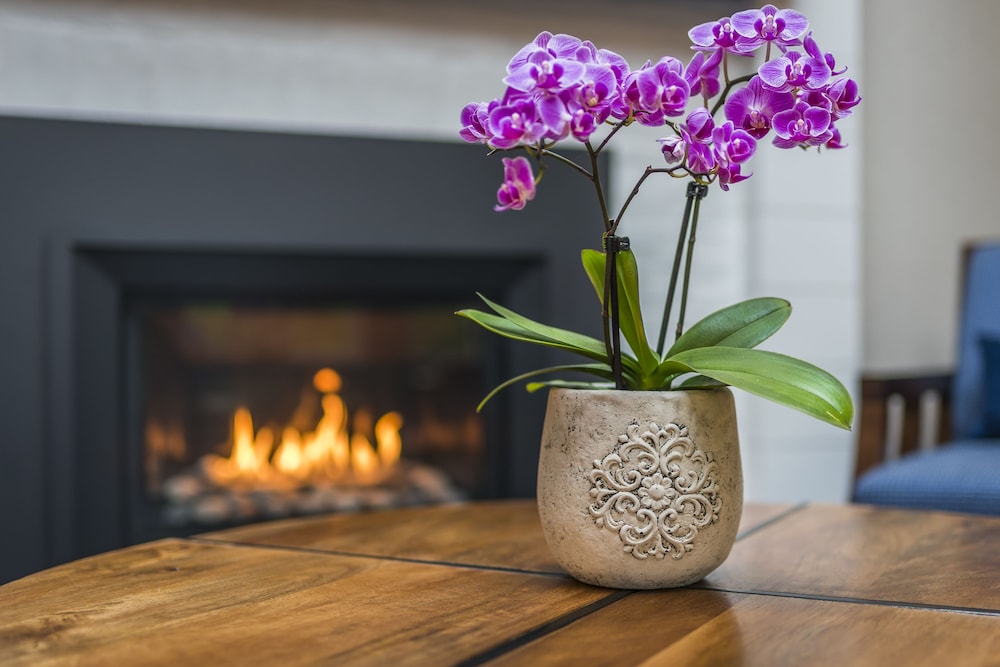 Rockport Inn And Suites - photo 4