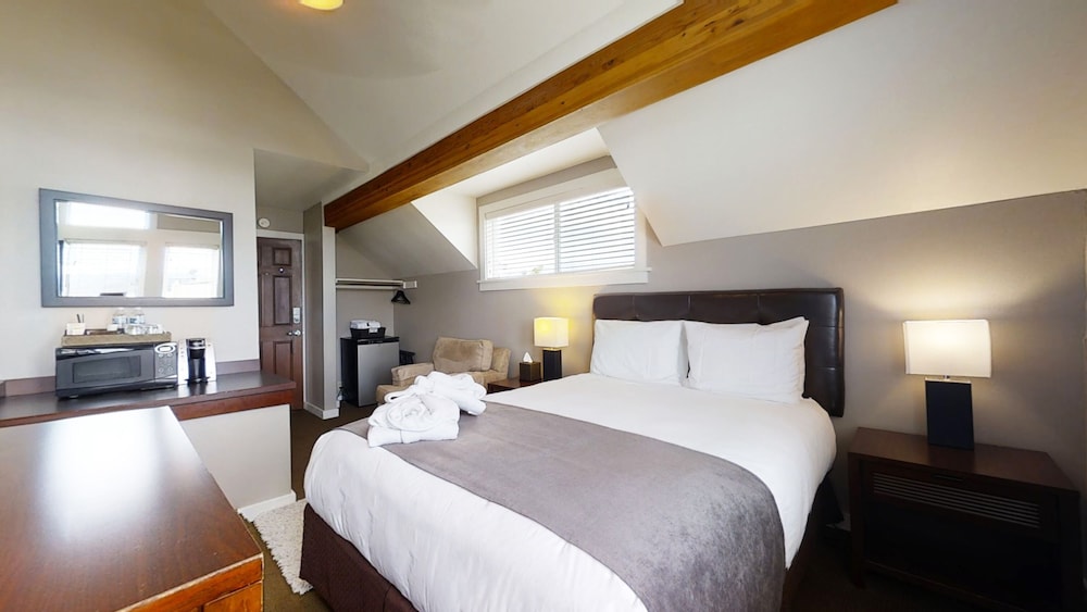 Bird Rock Hotel - photo 12