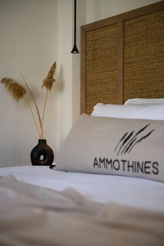 Ammothines Beach Suites - last minute hotel in Unknown City