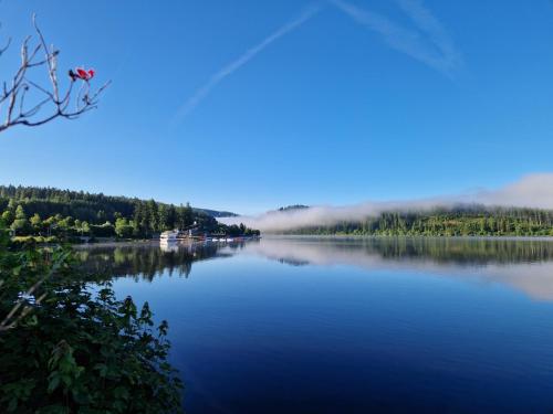 Altes Zollhüsli — Schluchsee — photo 5