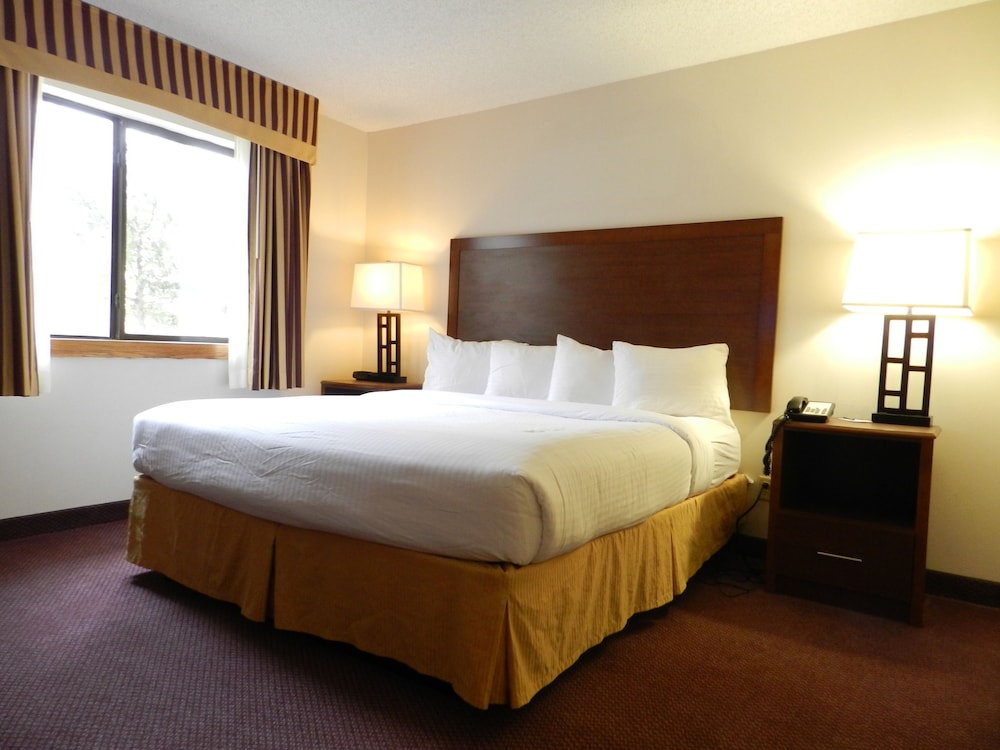 Ashmore Inn and Suites - photo 4