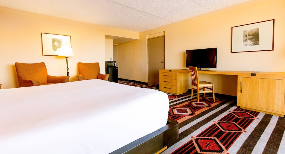 Nativo Lodge Hotel Albuquerque - photo 9