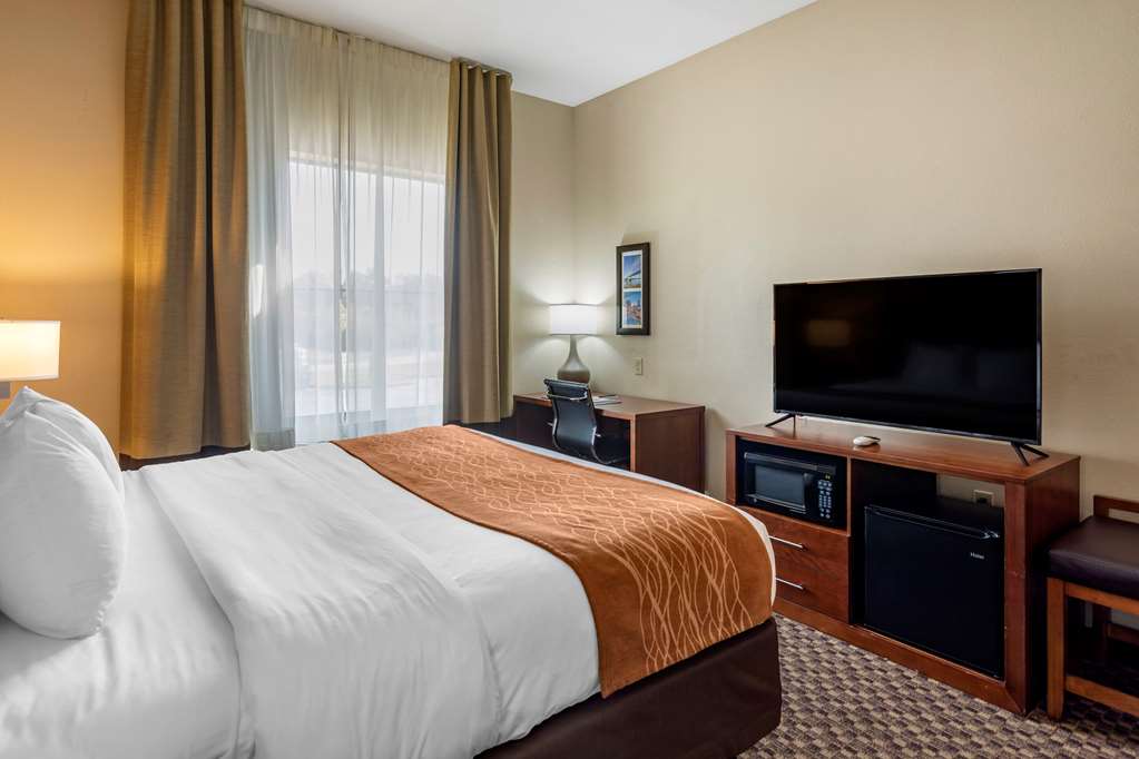 Comfort Inn & Suites Atoka Millington - photo 6