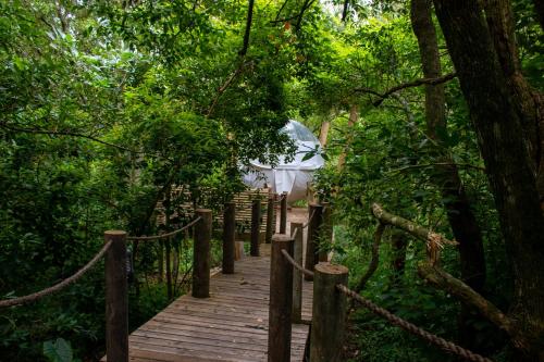 The Cacoon Tsitsikamma - last minute hotel in Unknown City