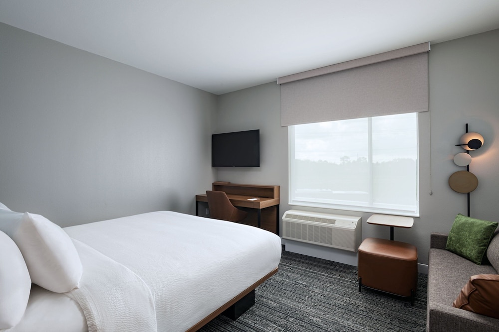 TownePlace Suites by Marriott Stafford Sugar Land - photo 11