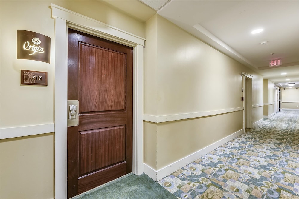 Origin at Seahaven 717 1 Br Hotel Room - photo 24