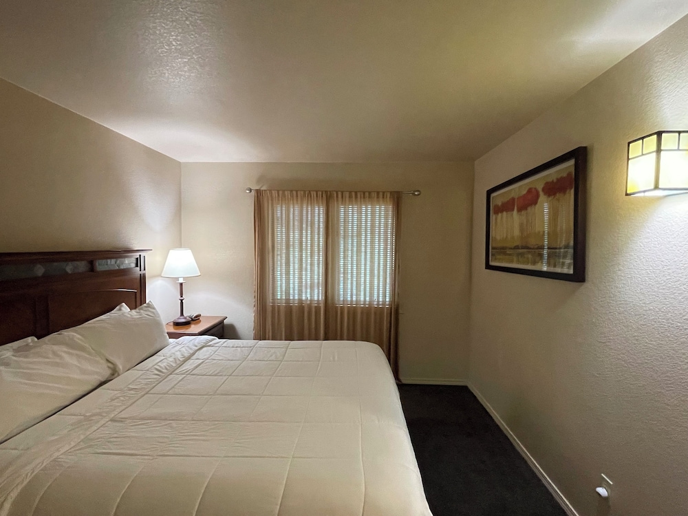 Mount Shasta Resort - photo 11