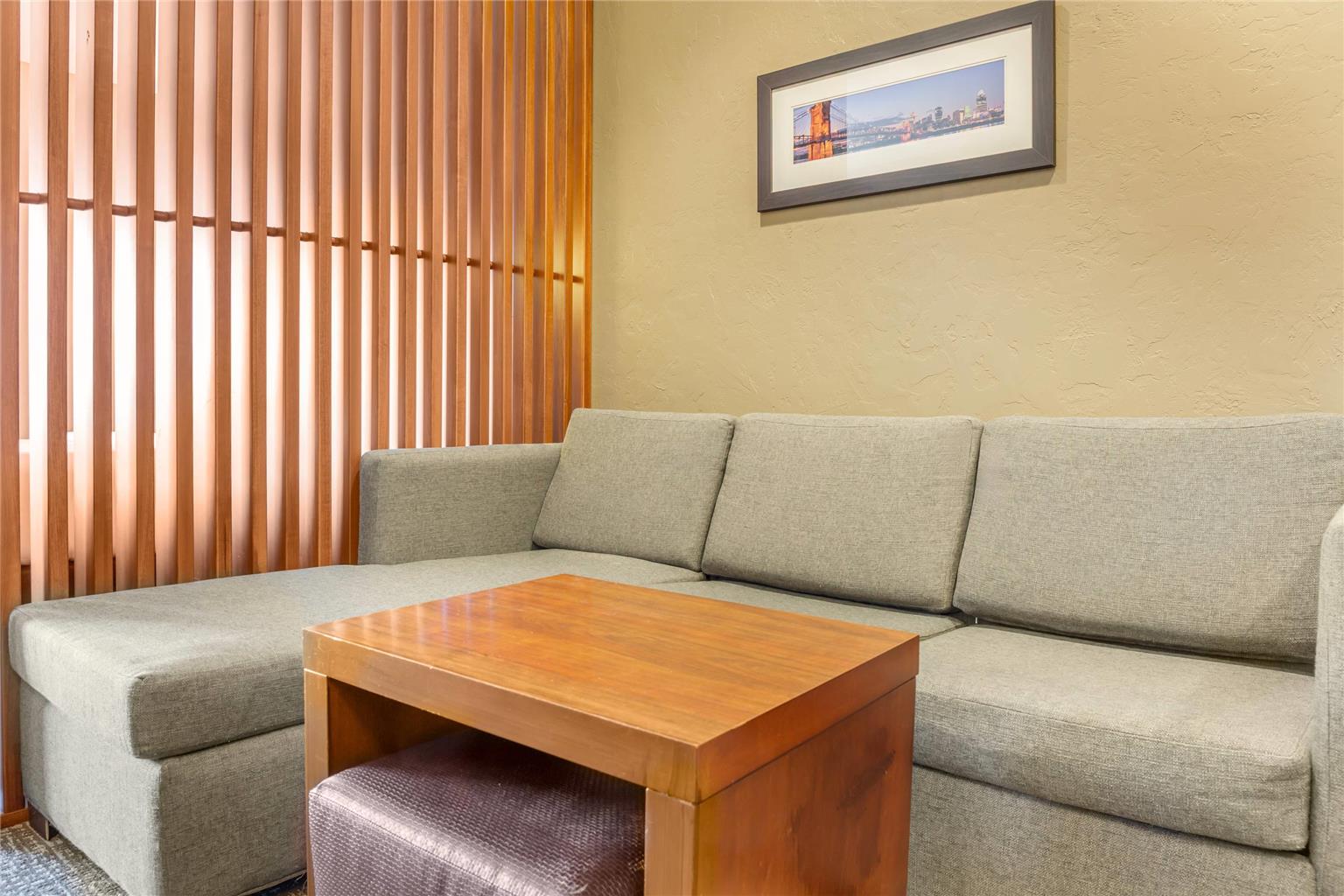 Comfort Suites Florence Cincinnati South - photo 18