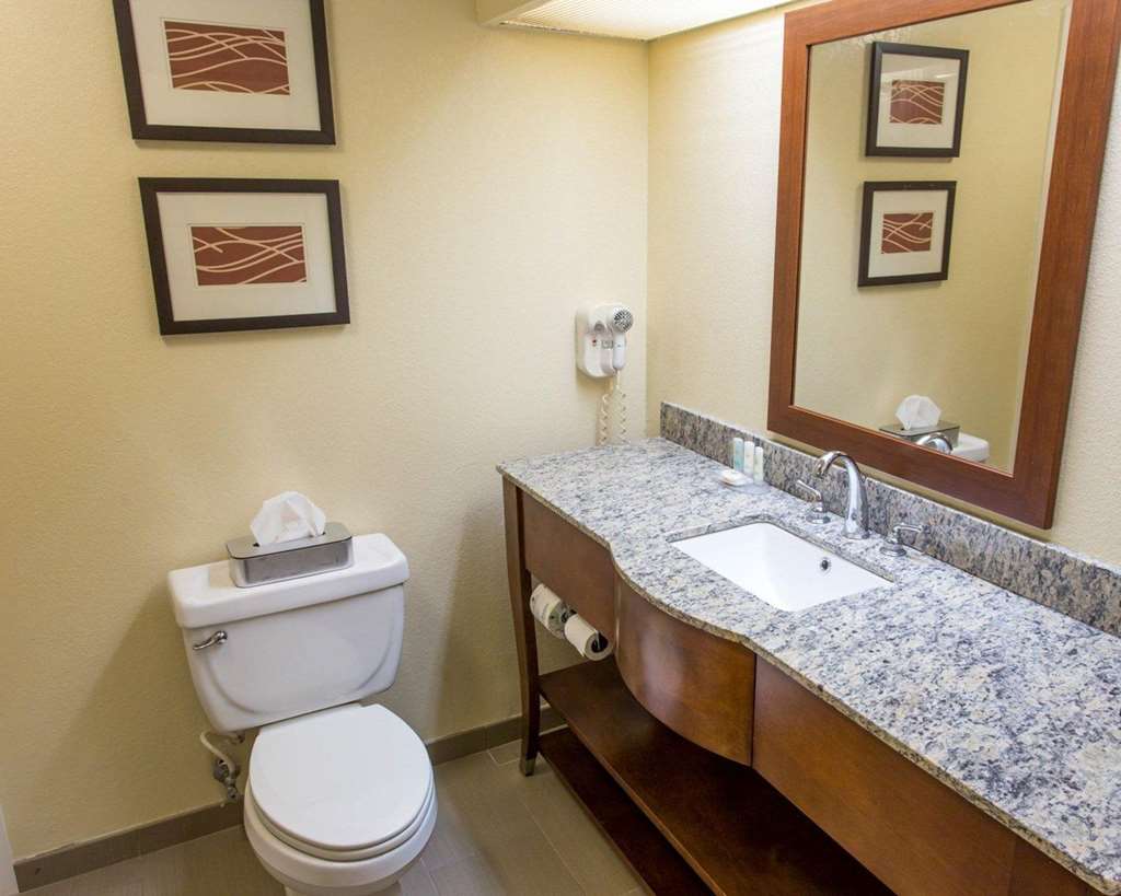 Comfort Inn Hammond - photo 16