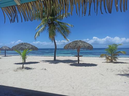 Kukumi's Suite Anse des Rochers — 4-Star Luxury Hotel in Saint-Francois, Guadeloupe