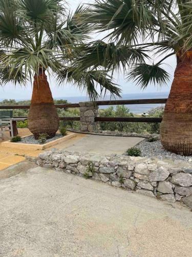 Souda s nest — Agios Vasileios — photo 2