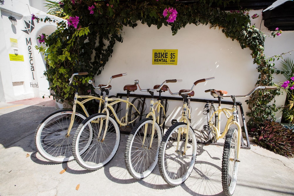 Bicycling