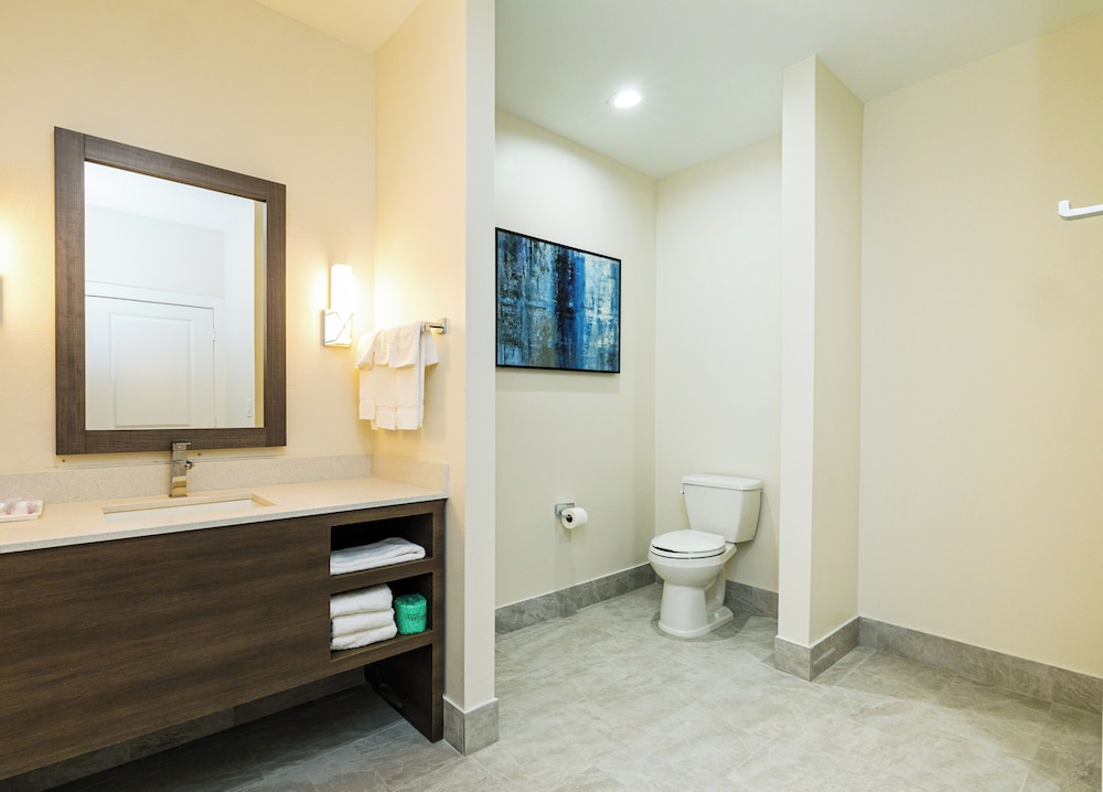Palace Inn Blue Edgebrook - photo 31