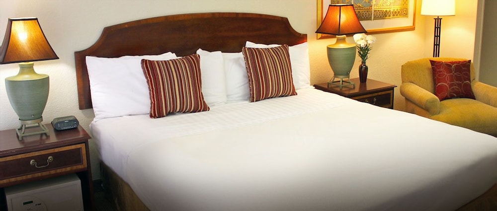University Inn College Station - photo 7