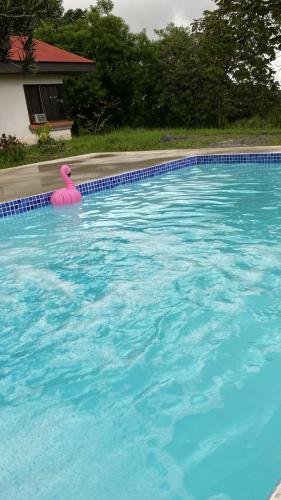 daBene Bed & Breakfast — 4-Star Luxury Hotel in Alajuela, Costa Rica