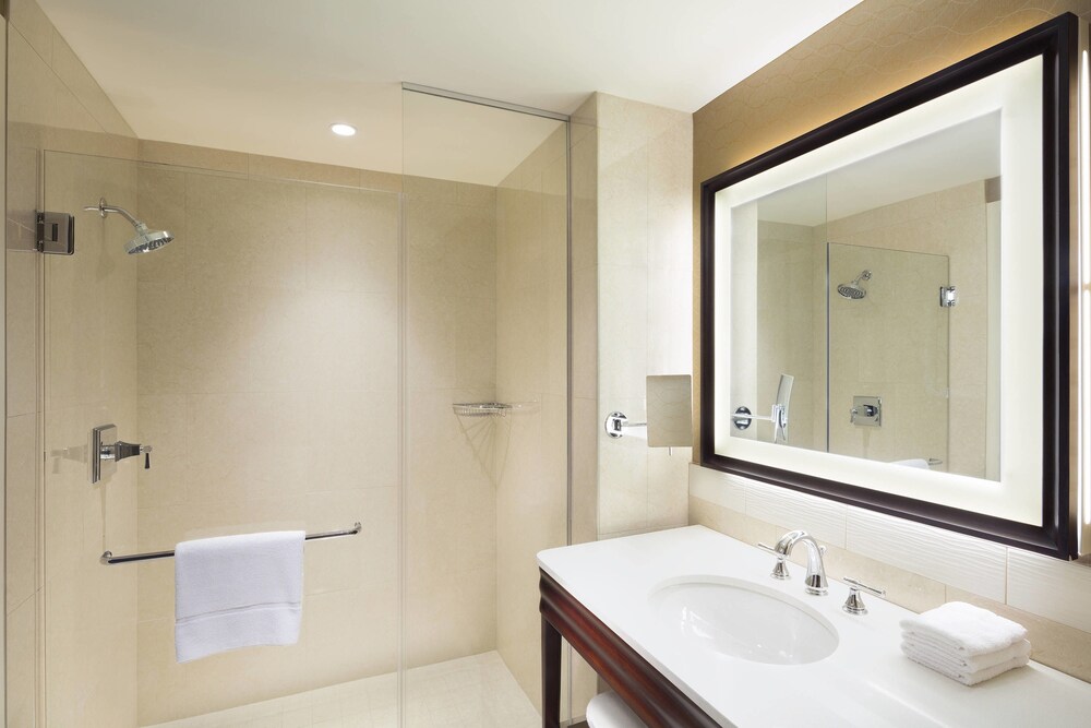 Sheraton Austin Georgetown Hotel & Conference Center - photo 18