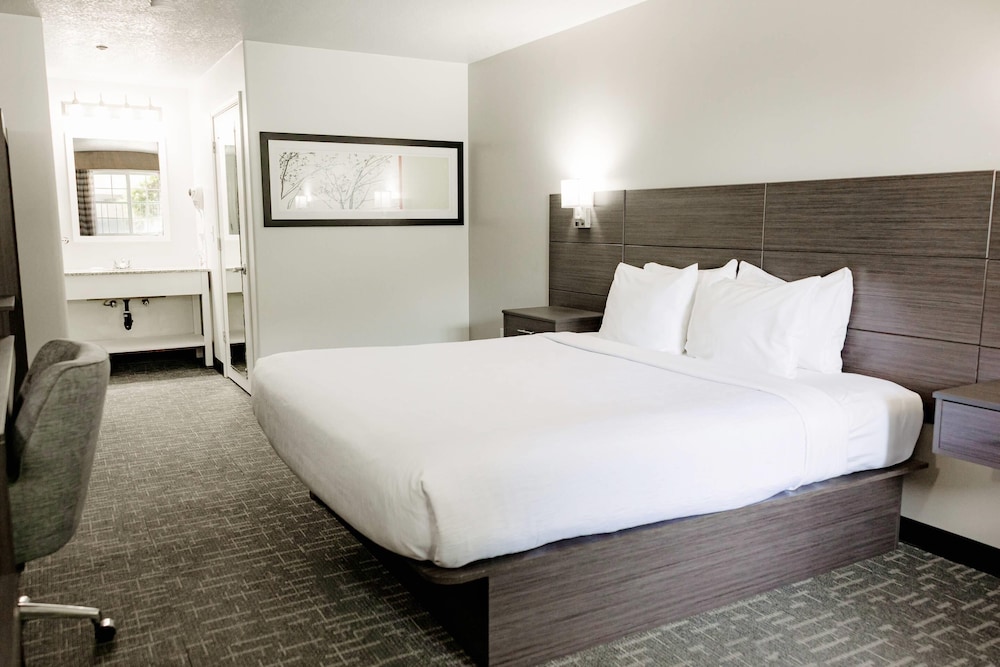 Quality Inn & Suites Lathrop South Stockton - photo 8