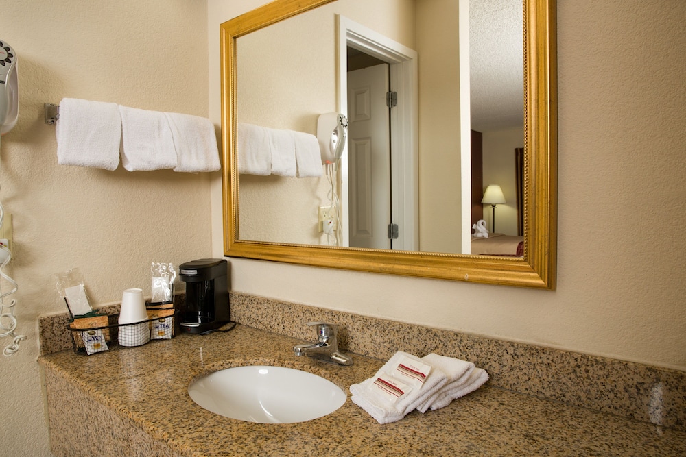 Red Roof Inn & Suites Pigeon Forge Parkway - photo 27