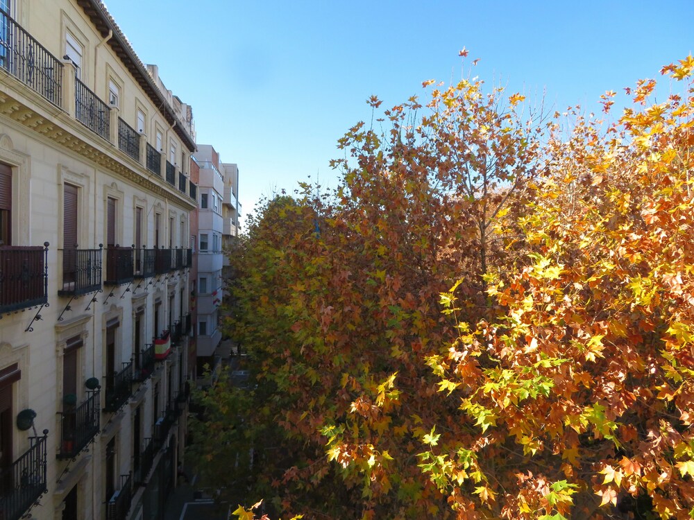 Mesones 54 — 4-Star Luxury Hotel in Granada, Spain