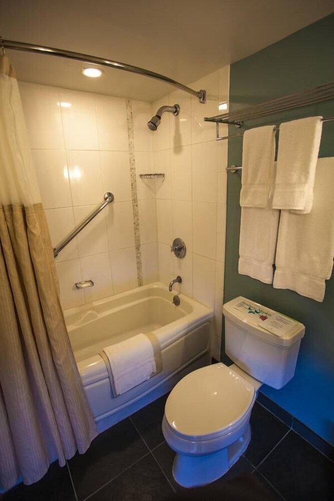 Ala Moana Hotel by AirPads - photo 19