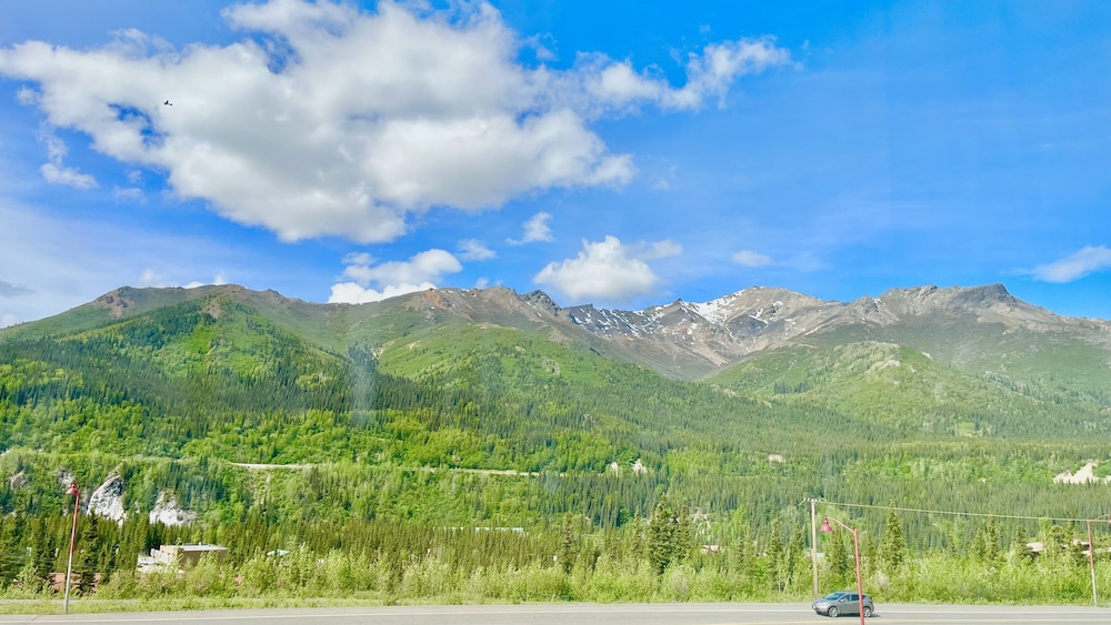 Denali Rainbow Village RV Park and Motel - photo 88