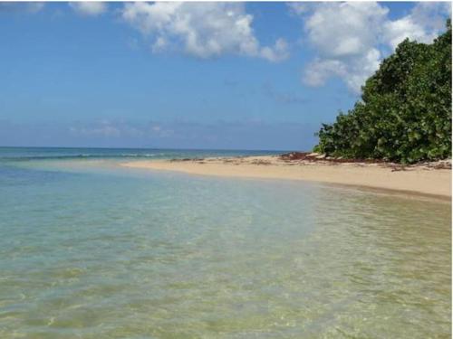 Ababor Suites in Vieques, Puerto Rico