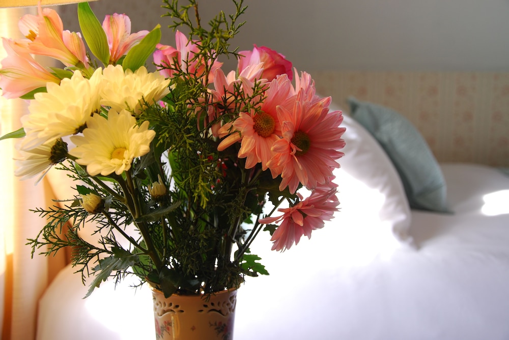 Spring Hill Inn - photo 2