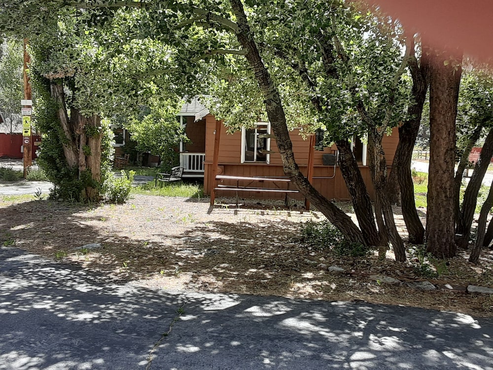 Grey Squirrel Resort - photo 169