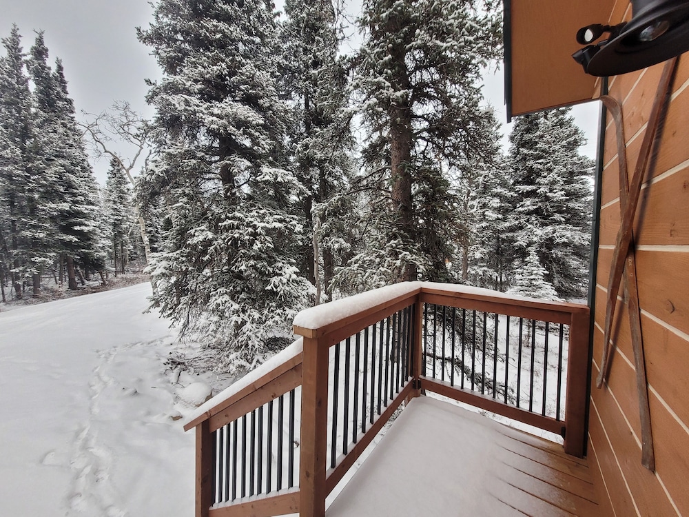 Denali Wild Stay - photo 78