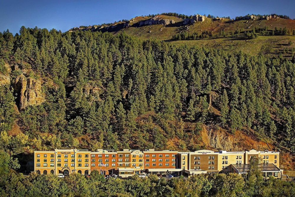 SpringHill Suites by Marriott Deadwood - photo 65