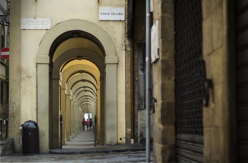 Blue Prince — Florence — photo 3