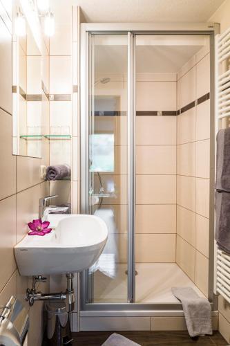 Bio Bauernhof Schweizerhof in Bad Hofgastein, Austria