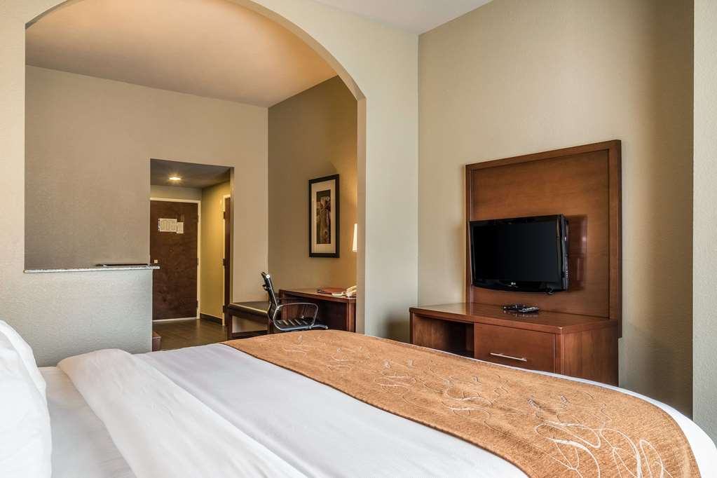 Comfort Suites Near Texas State University - photo 8