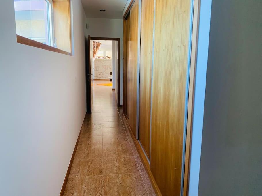 Rose plaisir in Esposende, Portugal