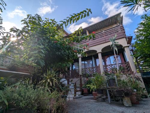 Le Zalifat Jardin Tranquille Proche Aeroport — Pamandzi