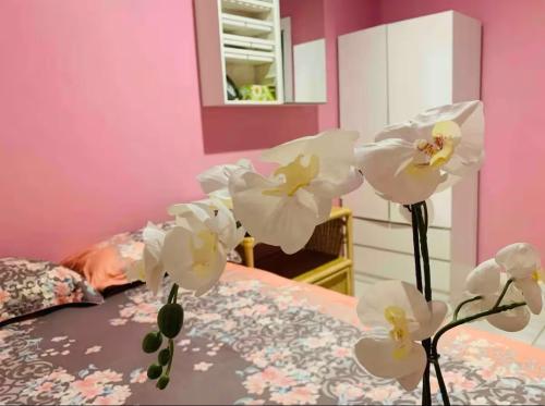 Less pay good place - last minute hotel in Rosewater