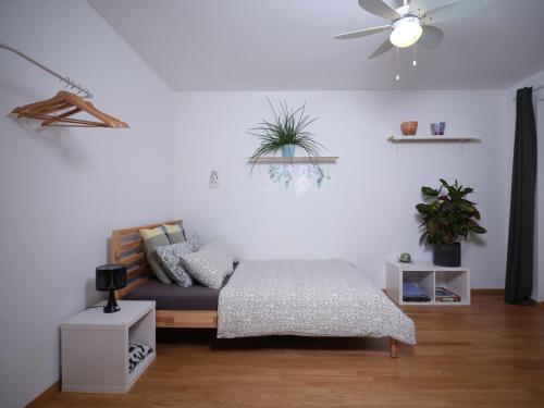 Doppelzimmer in Der Nahe Des Stadions in Basel, Switzerland