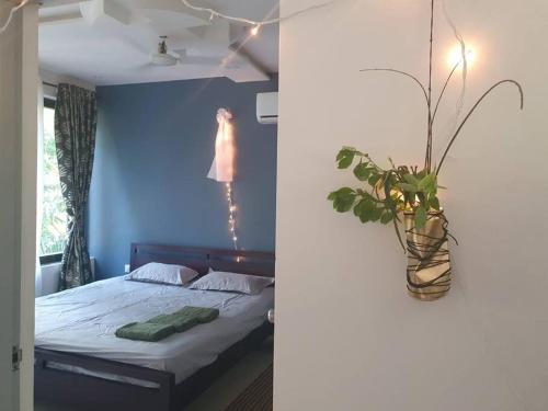 Palolem Comfy and Cozy Apartment — 4-Star Luxury Hotel in Canacona, India