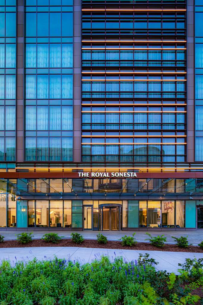 The Royal Sonesta Washington DC Capitol Hill - photo 6