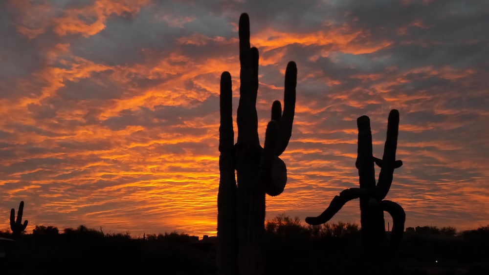 Boulders Resort & Spa Scottsdale Curio Collection by Hilton - photo 38