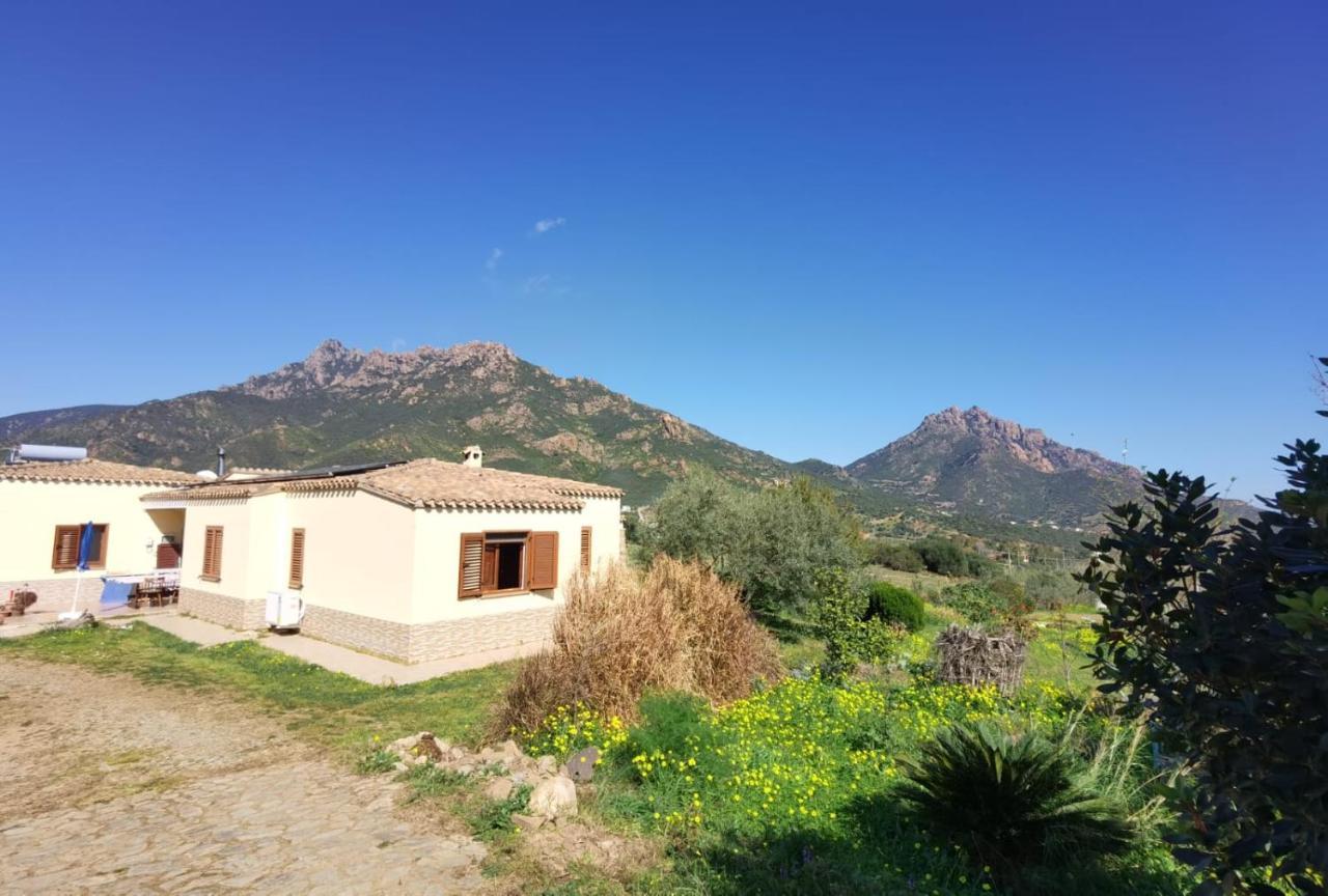 Domu Abi Manna — Tertenia