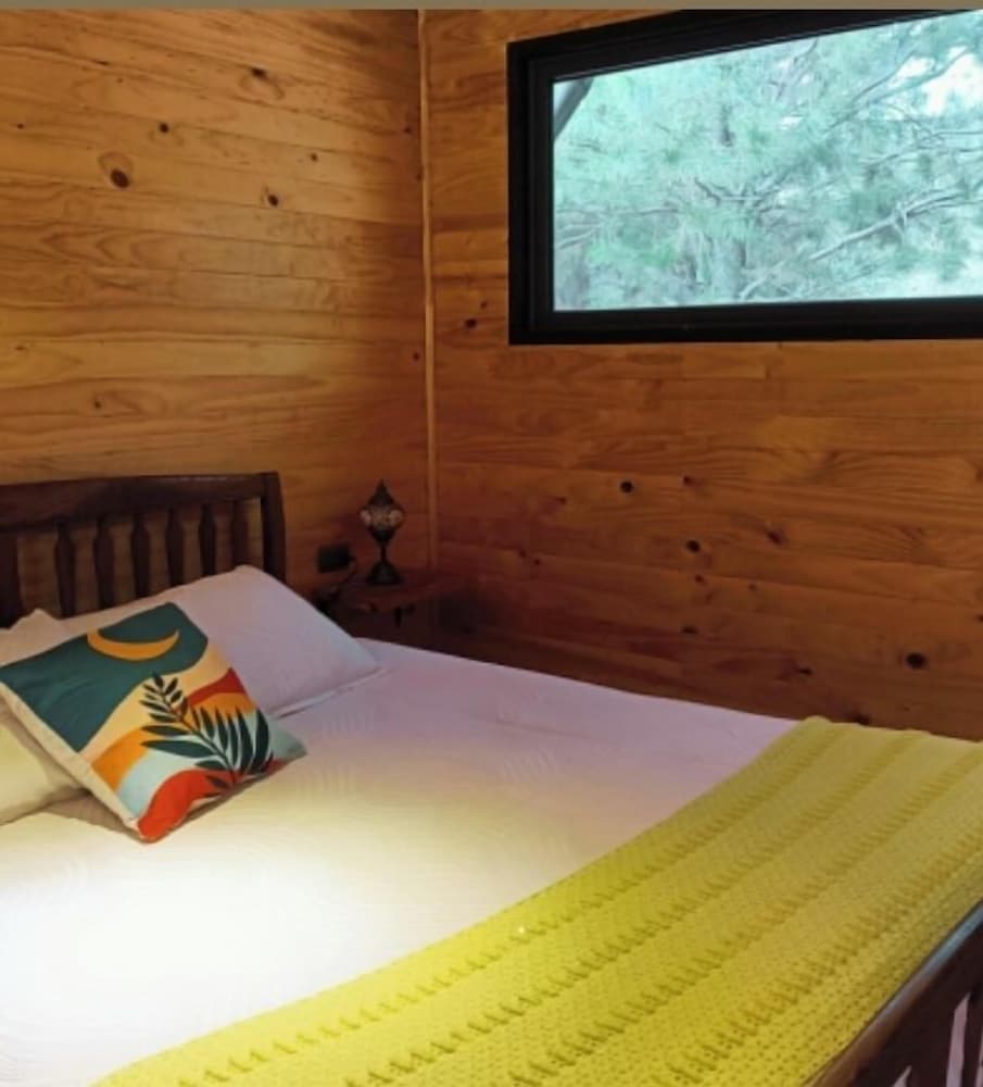 Refugio Silvestre Parque Nacional Siete Tazas Salida a río y pesca — Molina — photo 5