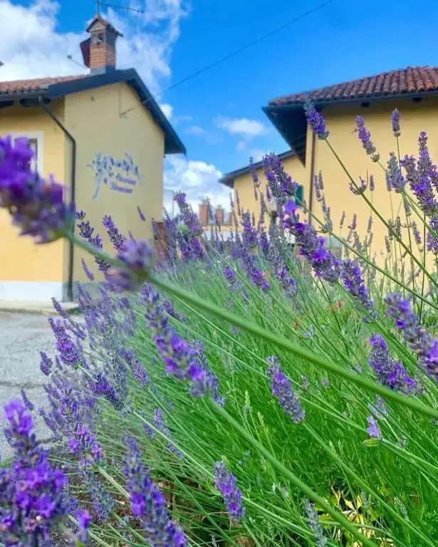 Cascina Domina pet-friendly hotel Gassino Torinese
