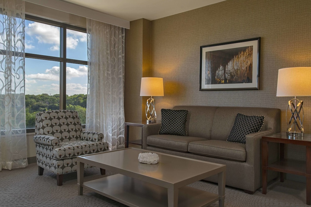 Sheraton Austin Georgetown Hotel & Conference Center - photo 11