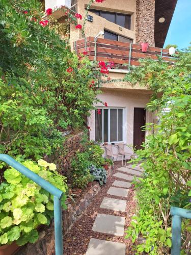 Dekel in Arad, Israel