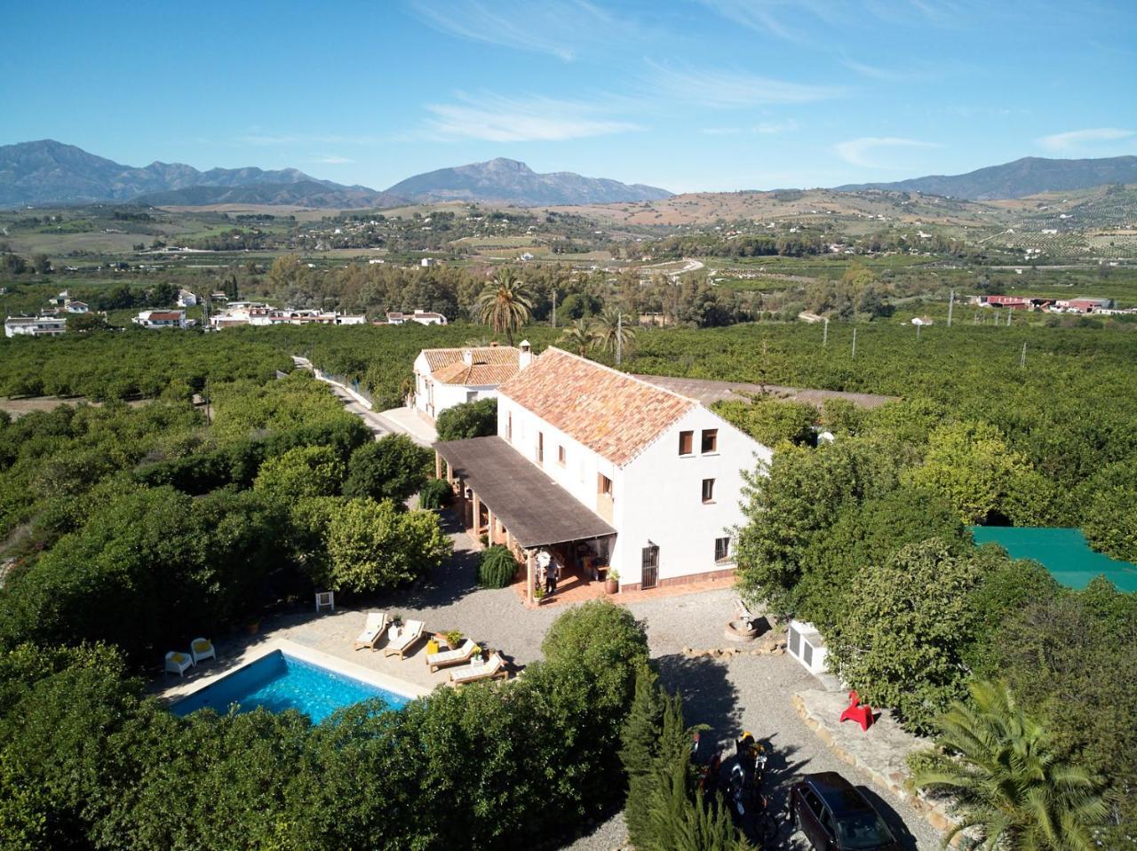 Finca Limon — Pizarra
