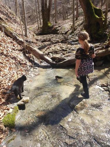 Red River Gorge Creekside New Spacious 2 baths — Stanton — photo 4